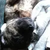 Mona McCoy - @monamccoy0 - TikTok