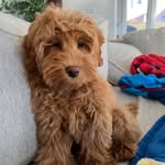 Monica McGrath - @mom_ica - Instagram