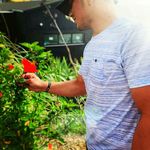 Nolan Solomona - @nolansolomona - Instagram
