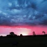 Mona Olson - @olson340 - Instagram