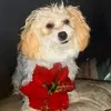 Mona Ortega - @mona.ortega43 - TikTok