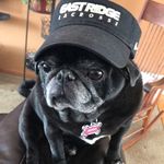Mona Peterson - @mona_peterson_fanclub - Instagram