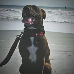 Mona Peterson - @momapeterson - Instagram
