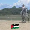 Mona Pitre-desmaris - @mona.pitredesmari - TikTok