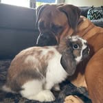 Posey & Mona - @posey_and_mona - Instagram