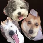 Mona Princess And Prince - @mona_prince_n_princess - Instagram