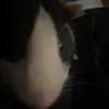 Swaglikeohio - @monaeriddle468 - TikTok