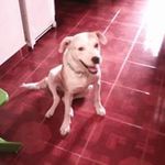 Mona Rios - @riosmona - Instagram