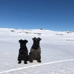 Mona-Lise Sandberg - @monalisesandberg - Instagram