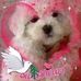 Mona Sandberg - Facebook