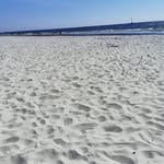 Mona Sandberg - @mona_sandberg - Instagram