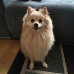 Mona - @mona.derspitz - Instagram