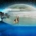 Monika Spitz - Facebook