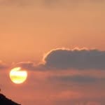 Mona Stevenson - @mona.stevenson.7 - Instagram