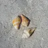 Mona Stewart - @mona6530 - TikTok