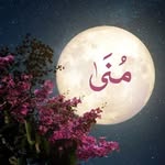 Mona Tawfik - @mona.tawfik.180 - Instagram