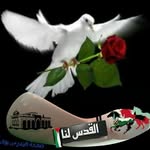 Mona Tawfik - @monatawfik2005 - Instagram