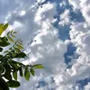 mona_tawfik - @mona_tawfik0 - TikTok
