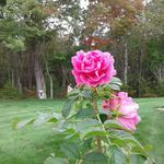 Mona Walker - @monaw616 - Instagram