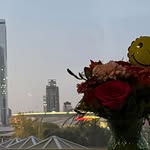 Mona Wallace Daub - @relicholdings1 - Instagram