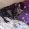 Monae Ware - @monae.ware2 - TikTok
