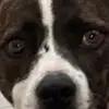 Wayne.Mona2 - @wayne.mona2 - TikTok