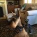 Mona Windham - Facebook