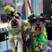 Mona Windham - Facebook