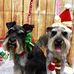 Mona Windham - Facebook