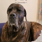 Mona Workman - Facebook
