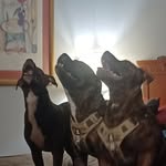 Janenne Johnston - @monaethomas1967 - Instagram