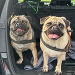 Winston + Mona - @winnieandmona - Instagram
