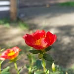 Monami Biswas - @monamibiswas9 - Instagram