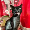 moncegonzalez - @moncegonzalez - TikTok
