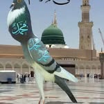 moncef selmi - @moncef2237 - Instagram