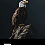 Moneer Issa - Facebook