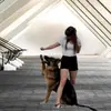 mother_shepherd - @mother_shepherd - TikTok