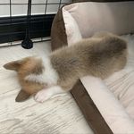 몽이 일상 🐶 - @mong__lee__ - Instagram