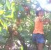 Mong Ngo - Facebook