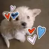 Monica Ali - @monica.ali26 - TikTok