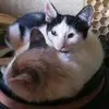 Monica Urbieta Amari - @monicaurbietaamar - TikTok
