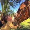 Monica Antele - @monicaantele - TikTok
