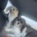 Monica Barth - Facebook