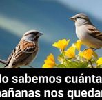 Mónica Bedoya - Facebook