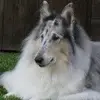 monicabernstein - @monicabernstein - TikTok