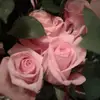 Monica Bingham821 - @user3854866622343 - TikTok