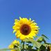 Monica Bohl - Facebook