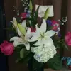 Monica Bollinger - @monica.bollinger - TikTok