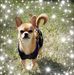 Monica Bollinger - Facebook
