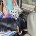 Monica Gresham - Facebook